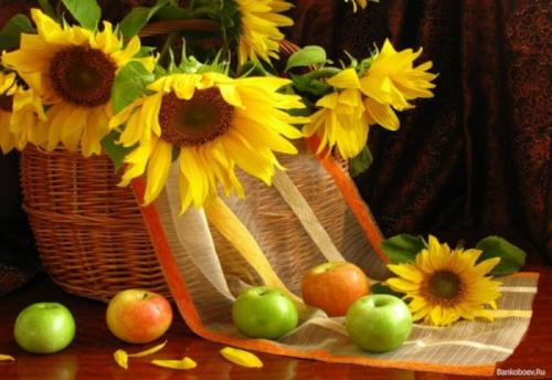 Сушеные воздушные яблоки рецепт. Яблоки вяленые кольца в домашних условиях