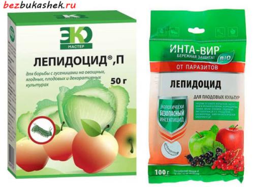 Чем обработать капусту от вредителей Гусеницы.. Инсектициды 01 Чем обработать капусту от вредителей Гусеницы.. Инсектициды 01