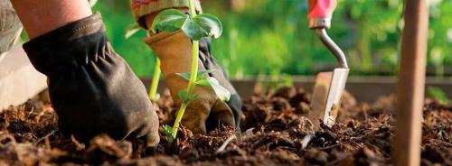 Подготовь свой сад к весеннему сезону с помощью эффективных удобрений 02 Подготовь свой сад к весеннему сезону с помощью эффективных удобрений 02