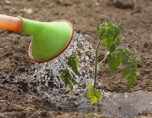 Подготовь свой сад к весеннему сезону с помощью эффективных удобрений 03 Подготовь свой сад к весеннему сезону с помощью эффективных удобрений 03