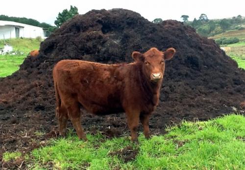 Подготовь свой сад к весеннему сезону с помощью эффективных удобрений 08 Подготовь свой сад к весеннему сезону с помощью эффективных удобрений 08