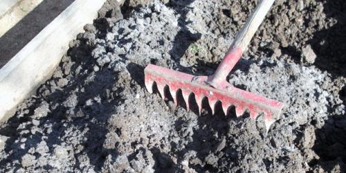 Подготовь свой сад к весеннему сезону с помощью эффективных удобрений 10 Подготовь свой сад к весеннему сезону с помощью эффективных удобрений 10