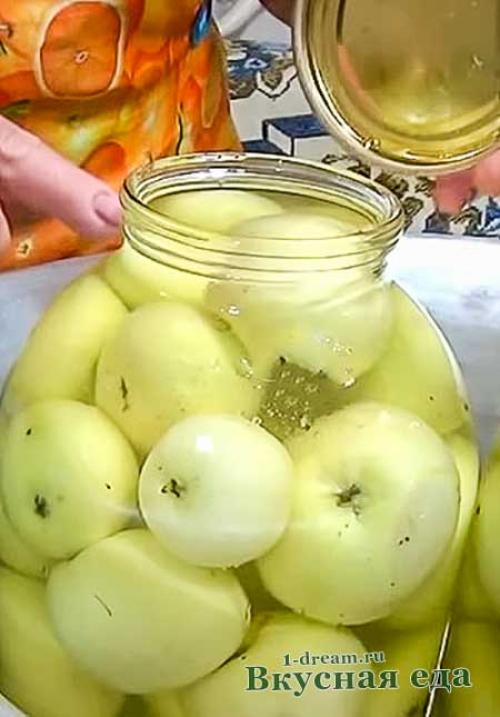 Капуста с мочеными яблоками. Тушеная капуста с мочеными яблоками 17