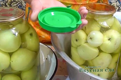 Капуста с мочеными яблоками. Тушеная капуста с мочеными яблоками 20