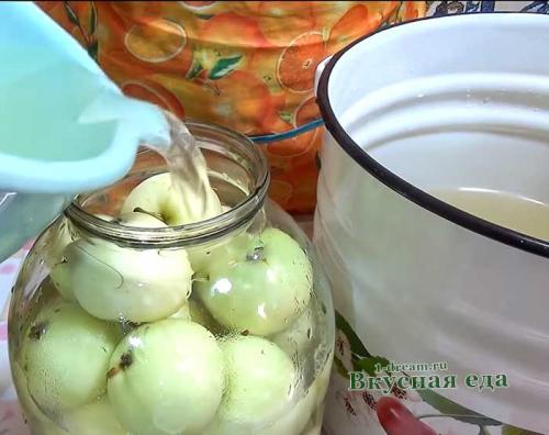 Капуста с мочеными яблоками. Тушеная капуста с мочеными яблоками 16