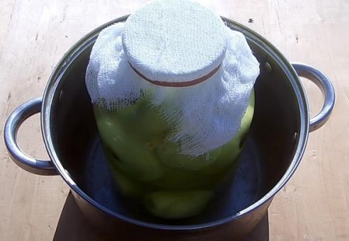 Моченые яблоки рецепт в кастрюле. Яблоки моченые на зиму в домашних условиях – 6 рецептов приготовления моченых яблок