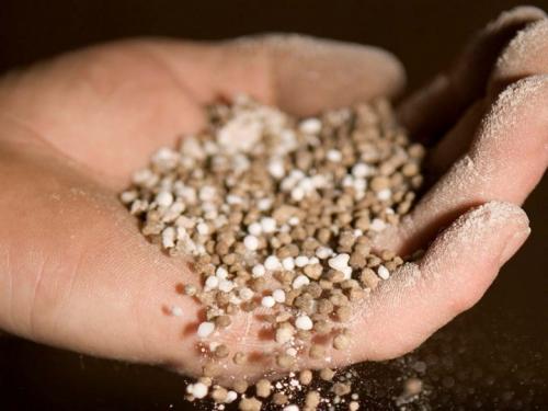 Можно ли использовать удобрения для яблони и груши вместе с другими растениями. Нормы внесения минеральных удобрений под плодовые деревья