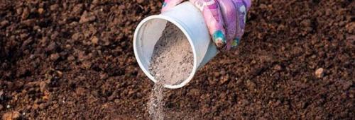 Что такое подкормка яблонь весной до цветения. Весенняя подкормка яблонь: какие удобрения внести перед цветением