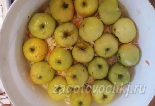 Квашеная капуста с цельными яблоками к Новому году. Квашеная капуста с яблоками 27 Квашеная капуста с цельными яблоками к Новому году. Квашеная капуста с яблоками 27