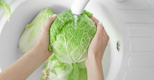 Квашеная капуста с яблоками в бочке. Как солить капусту с яблоками: в банке, кастрюле, ведре, бочке