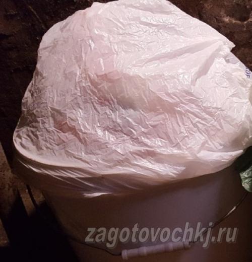 Квашеная капуста с цельными яблоками к Новому году. Квашеная капуста с яблоками 31 Квашеная капуста с цельными яблоками к Новому году. Квашеная капуста с яблоками 31