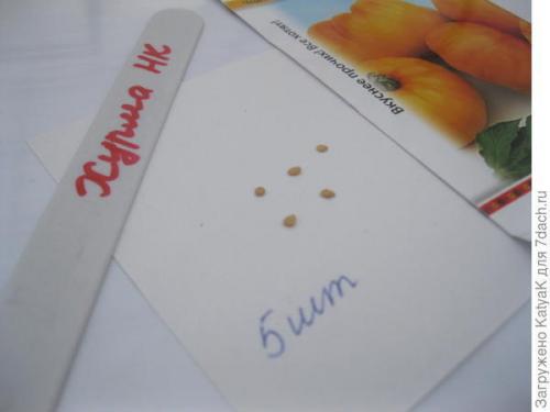 Томат хурма от 7 производителей. Томат 'Хурма НК' от Русского огорода - фруктовый биколор. Итоги