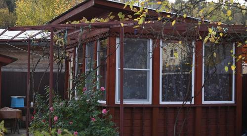 Как обрезать старый куст винограда осенью. Методики обрезки запущенного винограда 08 Как обрезать старый куст винограда осенью. Методики обрезки запущенного винограда 08