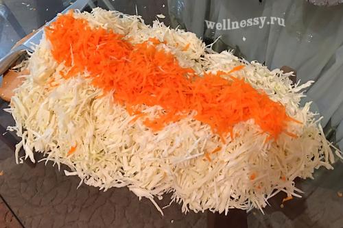 Квашеная капуста рецепт без воды. Вкусная квашеная капуста