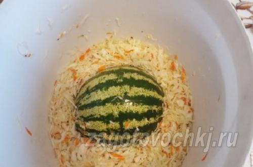 Квашеная капуста с яблоками антоновка на зиму. Квашеная капуста с яблоками и медом 21 Квашеная капуста с яблоками антоновка на зиму. Квашеная капуста с яблоками и медом 21