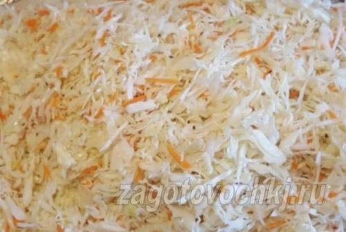 Квашеная капуста с яблоками антоновка на зиму. Квашеная капуста с яблоками и медом 17 Квашеная капуста с яблоками антоновка на зиму. Квашеная капуста с яблоками и медом 17