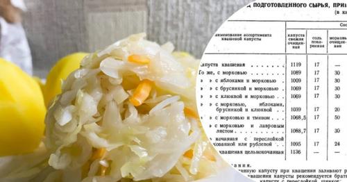 Квашеная капуста с яблоками антоновка на зиму. Квашеная капуста с яблоками и медом 05 Квашеная капуста с яблоками антоновка на зиму. Квашеная капуста с яблоками и медом 05