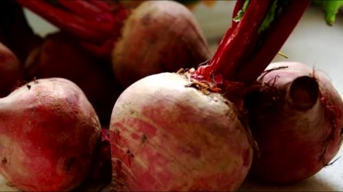 Как сохранить свеклу на зиму в морозилке. В каком виде и как заморозить свеклу на зиму в морозилке: общие правила и полезные советы