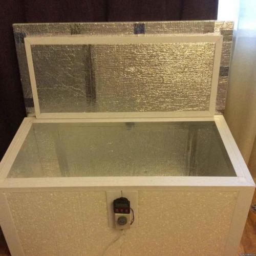 Где и как вы храните картофель в квартире?