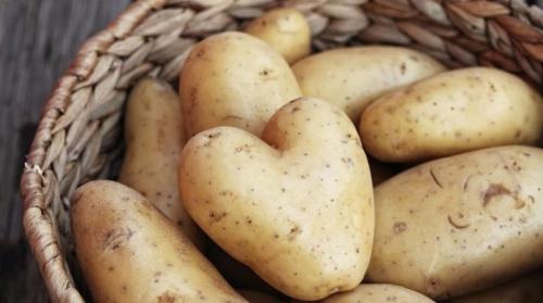 Где хранить картошку на кухне. Как хранить картофель в квартире?