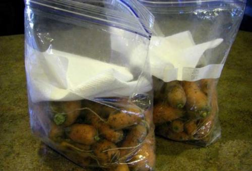 Как хранить морковь в холодильнике. Особенности хранения моркови в холодильнике 04