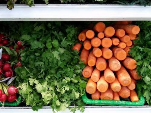 Как хранить морковь в холодильнике. Особенности хранения моркови в холодильнике