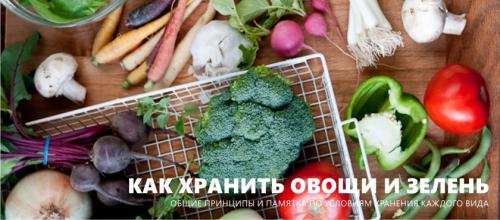 Хранение овощей на кухне. Как правильно хранить овощи и зелень