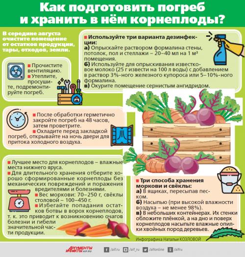 Хранение корнеплодов в погребе. Закладка урожая. Как подготовить погреб и хранить в нём корнеплоды?