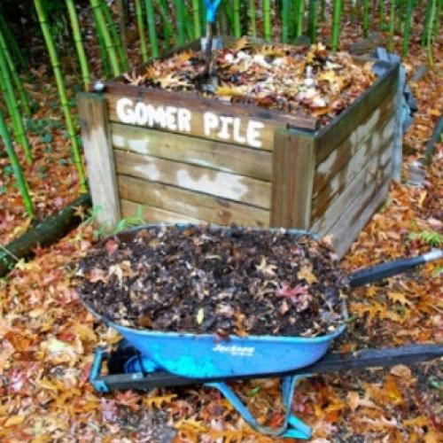 Чем подкормить яблоню и грушу осенью для лучшей зимовки. Виды подкормки 07