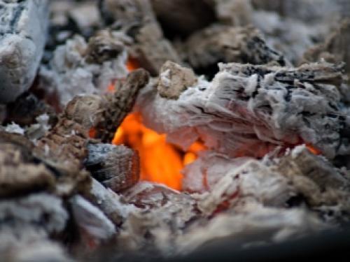 Чем подкормить грушу осенью 2022 года. Виды удобрений 10 Чем подкормить грушу осенью 2022 года. Виды удобрений 10