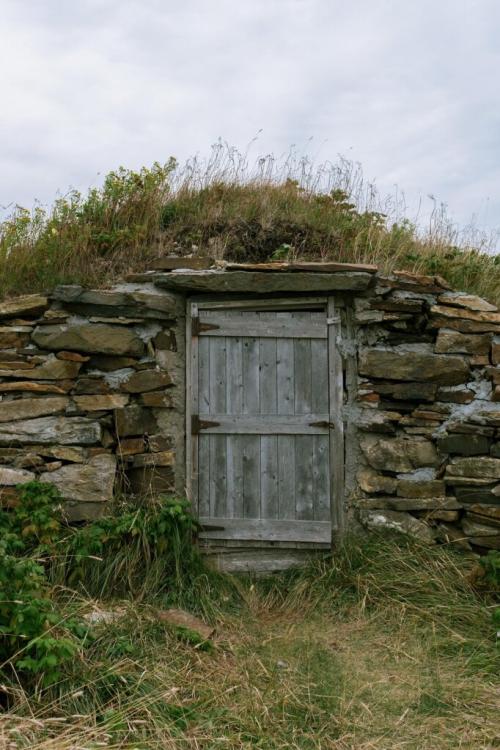 Как хранить картошку в квартире и погребе. Создаем условия