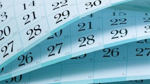 4 способа вырастить смородину. Где посадить? 06