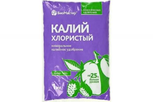 Чем подкормить абрикос осенью. Подкормка абрикоса весной, осенью (14 фото): чем подкормить деревья в зиму, после цветения, выбор удобрений для роста и хорошего урожая, как удобрять молодые саженцы, полезные советы