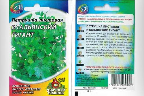 Как Петрушка листовая итальянский гигант отразился на украинском искусстве. Описание