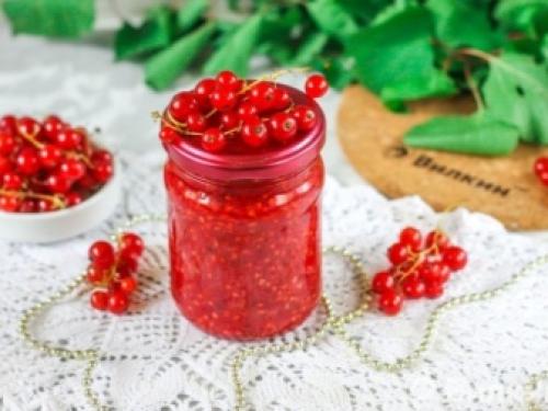 Смородина и крыжовник на штамбе. Крыжовник и смородина на штамбе: особенности формирования кроны 05