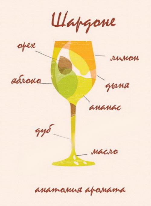 Домашнее вино из белого винограда пошаговый рецепт. Общие принципы приготовления вина