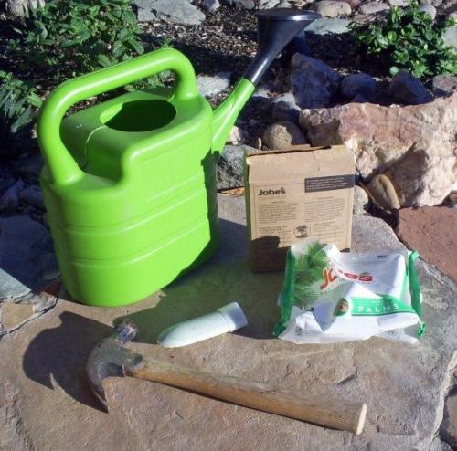 Как определить, нужна ли подкормка плодового сада в конце лета. Способы внесения подкормок