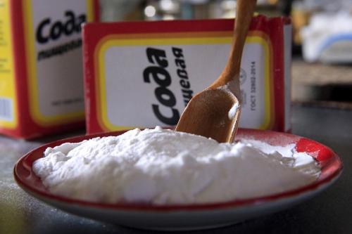 Сода от ржавчины на смородине. Как обработать кусты смородины содой