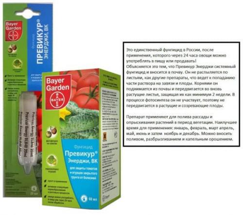 Ржавчина на смородине фитоспорин. Лечение препаратами