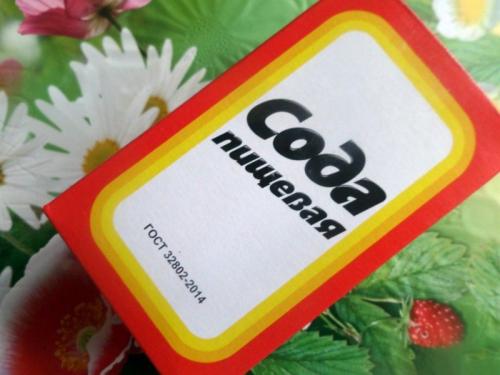 Сода от ржавчины на смородине. Как использовать соду для смородины?