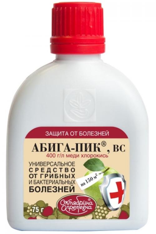 Болезни и вредители красной смородины. Чем обработать красные пятна? 01