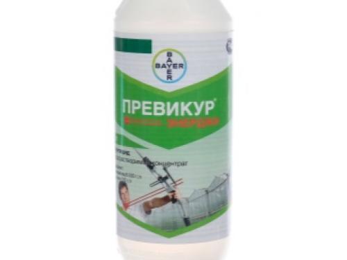 Болезни смородины и крыжовника. Лишайник и мох 05