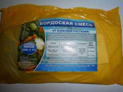 Болезни смородины и крыжовника. Лишайник и мох 06