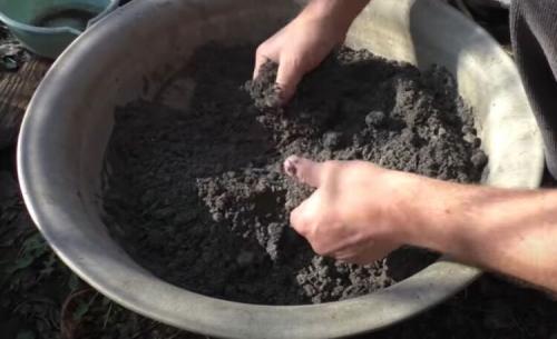 Препараты и средства для обработки смородины от ржавчины. Что делать, если на листьях смородины ржавчина 09