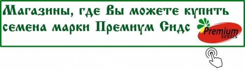 Лучший помидор из серии. Отличия сортов томатов 01 Лучший помидор из серии. Отличия сортов томатов 01