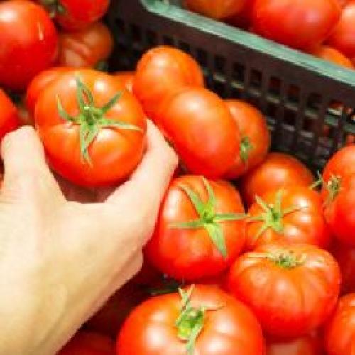 Какие растения наиболее уязвимы для морозов и как защитить их. Как защитить растения от мороза