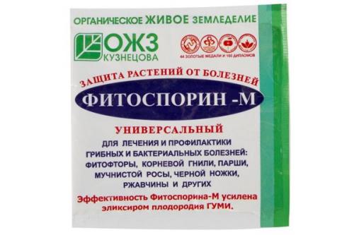Ржавчина на смородине фитоспорин. Как и когда обрабатывать смородину фитоспорином
