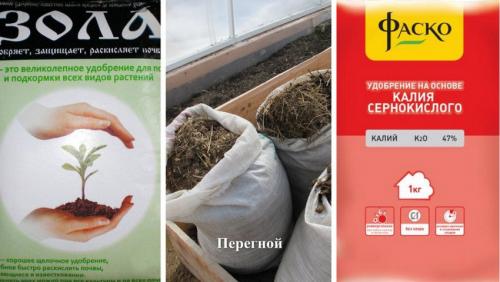 Черная смородина выращивание и уход. Все об уходе за черной смородиной 02 Черная смородина выращивание и уход. Все об уходе за черной смородиной 02