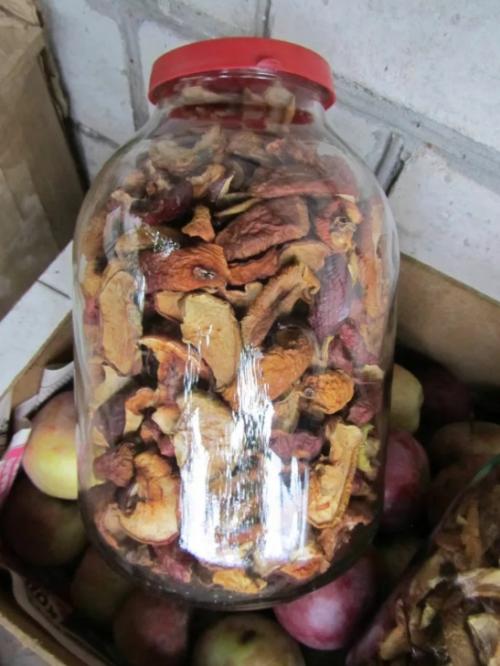 Засушивание яблок: простой способ сохранить фрукты на зиму 03