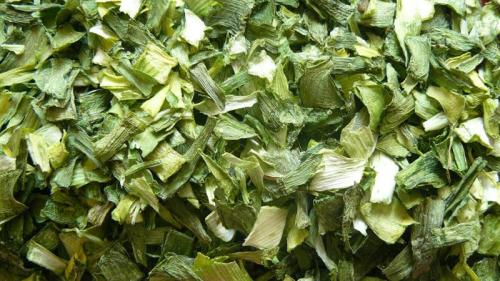 Как сохранить зимой лук-порей. Как сохранить лук-порей на зиму: сушка, заморозка и лучшие рецепты заготовок